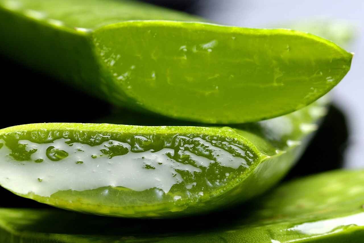 Aloe Vera Oil