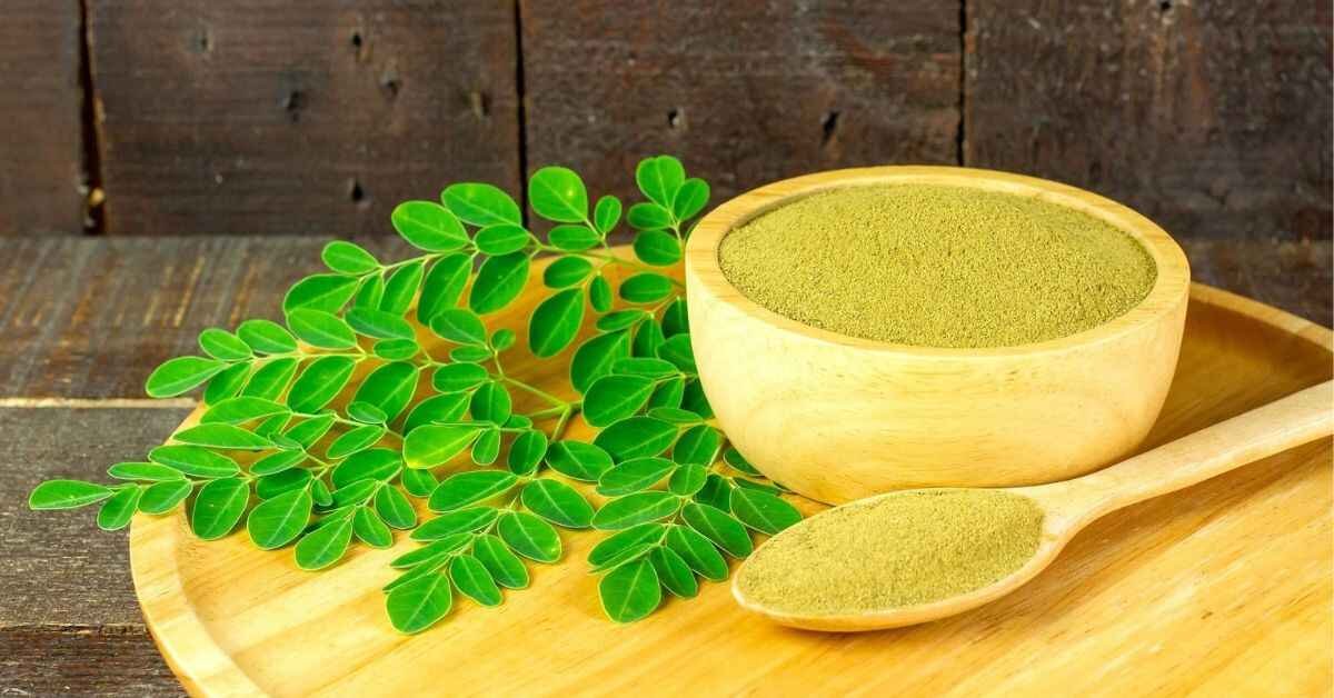 organic moringa powder