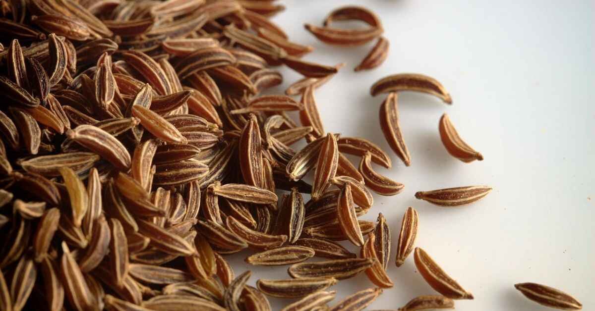 caraway seeds